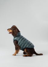 Load image into Gallery viewer, Hackett x Hugo Hudson Dog Puffer Jacket, Forest Green & Gold