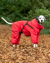 Load image into Gallery viewer, Hugo & Hudson - Winter Dog Snowsuit - Red/Combinaison d'hiver pour chien - Rouge