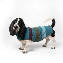 Charger l'image dans la galerie, Pendleton® - Cabin Stripe Fleece Dog vest/Gilet polaire pour chien Cabin Stripe
