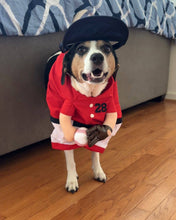 Load image into Gallery viewer, Show & Tail™ - The Home Ruff/Le Home Ruff