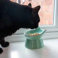 Load image into Gallery viewer, Ancolยฎ -Raised Cat Feeder Sage Green/Mangeoire surรฉlevรฉe pour chat, vert sauge