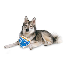 Charger l'image dans la galerie, Midlee - Hanukkah Menorah/Menorah de Hanoukka