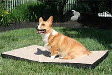 Charger l'image dans la galerie, GEN7PETS® Cool-Air Pad (M)