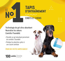 Charger l'image dans la galerie, Le No.1 - Training Pads/Tapis d’entraînement