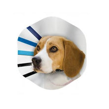 Load image into Gallery viewer, Kong EZ Clear Collar