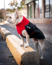Load image into Gallery viewer, Chilly Dogs Great White North Winter Coat (Broad & Burly Sizes)