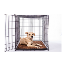 Load image into Gallery viewer, Dog Gone Smart™ Dirty Dog Doormat™