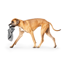 Load image into Gallery viewer, Canada Pooch® Weighted Calm ™ Weighted Calming Dog Toy
