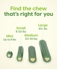 Load image into Gallery viewer, Ark Naturals - Brushless Toothbrush