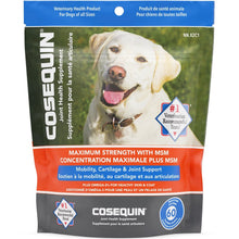 Load image into Gallery viewer, Nutramax Cosequin® Plus MSM &amp; Omega-3&#39;s Soft Chews Joint Supplement for Dogs
