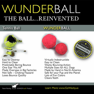 Wacky Walk'r Wunderball Best Fetch Toy (assorted colours)