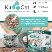 Load image into Gallery viewer, CheckUp Kit4Cat Cat Urine Sample Collection Kit
