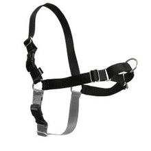 Load image into Gallery viewer, PetSafe Easy Walk Harness - Black