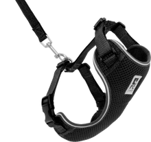 Load image into Gallery viewer, RC Pets Adventure Kitty Harness