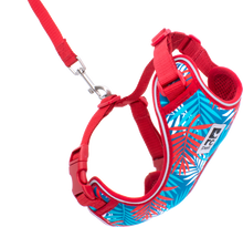 Load image into Gallery viewer, RC Pets Adventure Kitty Harness