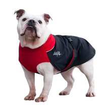 Load image into Gallery viewer, Chilly Dogs Great White North Winter Coat (Broad & Burly Sizes)