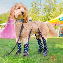 Load image into Gallery viewer, Walkee Paws™ - Leggings for dogs/leggings pour chiens