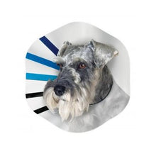 Load image into Gallery viewer, Kong EZ Clear Collar