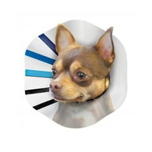 Load image into Gallery viewer, Kong EZ Clear Collar