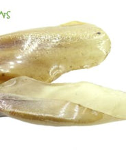 Load image into Gallery viewer, Nature's Own Jumbo Buffalo Ears