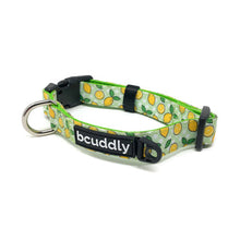Load image into Gallery viewer, bcuddly Comfort Collars for Dogs