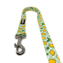Load image into Gallery viewer, bcuddly Dog Leash - 6ft