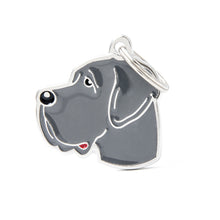 Load image into Gallery viewer, My Family Dog Tags (Friends)