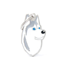 Load image into Gallery viewer, My Family Dog Tags (Friends)