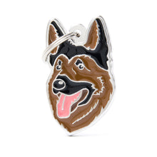 Load image into Gallery viewer, My Family Dog Tags (Friends)