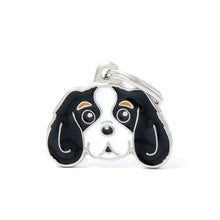 Load image into Gallery viewer, My Family Dog Tags (Friends)