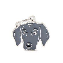 Load image into Gallery viewer, My Family Dog Tags (Friends)