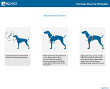Load image into Gallery viewer, RC Pets - Momentum Harness/Harnais