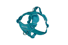 Load image into Gallery viewer, RC Pets - Momentum Harness/Harnais