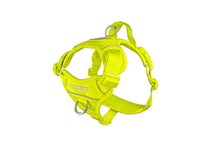 Load image into Gallery viewer, RC Pets - Momentum Harness/Harnais