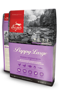 Orijen (Grain Free) Dry Dog Food