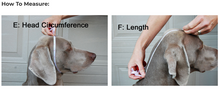 Charger l'image dans la galerie, Chilly Dogs - Head Muff