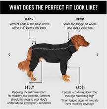 Load image into Gallery viewer, Canada Pooch - The Slush Suit - Black