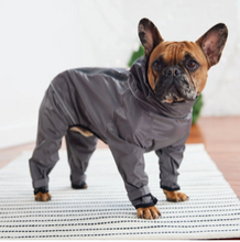 Load image into Gallery viewer, GFPet® Splash Suit - Charcoal
