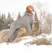 Load image into Gallery viewer, GFPet® Splash Suit - Charcoal