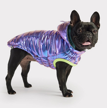 Load image into Gallery viewer, GF Pet Iridescent Recycled Parka
