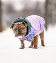 Load image into Gallery viewer, GF Pet Iridescent Recycled Parka
