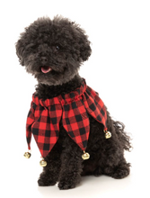Load image into Gallery viewer, FuzzYard Jester Collar