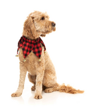 Load image into Gallery viewer, FuzzYard Jester Collar