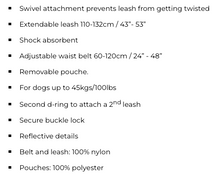 Load image into Gallery viewer, GFPet® - Waist Belt & Bungee Dog Leash