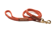 Load image into Gallery viewer, Knotty Pets - Braided Leash (4ft)