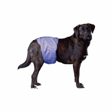 Load image into Gallery viewer, PoochPads Reusable Male Wraps (Belly Bands)