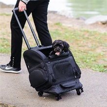 Load image into Gallery viewer, GEN7PETS® Roller-Carrier - Black Geometric