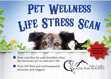 Charger l'image dans la galerie, Glacier Peak - Pet Intolerance Test