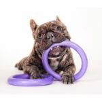 Load image into Gallery viewer, Puller - Dog Fitness Tool/Outil de formation pour chien