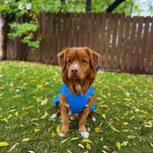 Load image into Gallery viewer, Rocky Mountain Dog - Tofino Rain Jacket/Veste imperméable Tofino
